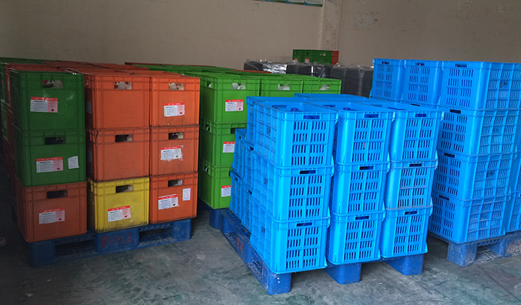 塑料托盘、周转箱与塑料桶：助力绿色制造与智能物流的关键角色